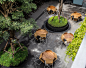 72 Courtyard庭院 by TROP:Terrains+Open Space – mooool木藕设计网