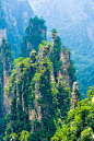 中国湖南武陵源的张家界悬崖山