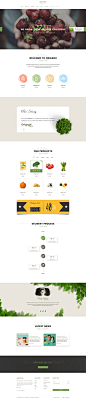 Origano - Organic Store Template : Origano - Organic Store Template