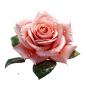 Pasted-20230816-201809_pixian