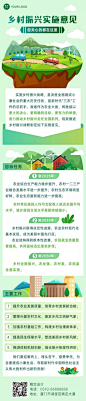 融媒体乡村振兴政策插画文章长图