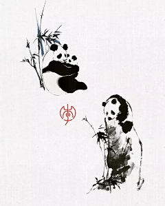 A鸠采集到动物