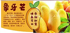 象牙芒  - 源文件下载【酷图网】象牙芒,水果,象牙芒介绍,热带水果,海报,异形