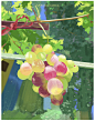 Snipaste_2022-11-15_10-20-58