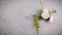 母亲节,女儿,贺卡,平和,边框,母亲,郁金香,女人,春天,背景