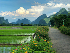 真与自在采集到场景