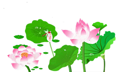 ε✧十七✧з采集到植物素材