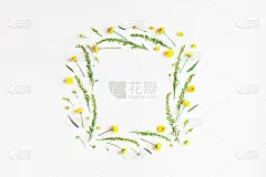 白底黄花的框架。平躺