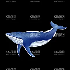 鲸鱼海洋生物手绘  - 源文件下载【酷图网】蓝色,海洋生物,手绘,鲸鱼,简易