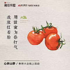 养星星呀~采集到有点意思