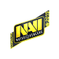 印花 | Natus Vincere | 2015年卡托维兹锦标赛