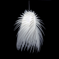 Artecnica正品 国际大师作品 代达罗斯天使的羽毛 创意台灯