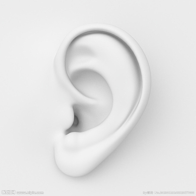 耳朵模型设计图