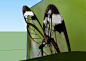 蝴蝶 -Uncategorized模型 云台网 : 蝴蝶（Butterfly）是锤角亚目中的物种的总称，或称蝶、蝶、蛱（现指蝴蝶中的一类）。以美丽的色彩和优美的飞舞姿态著称。与蛾一同为昆虫纲鳞翅目之下的一个家族，与其他昆虫不同的是身上长有大而耀眼的翅膀。蝴蝶翅膀一般色彩鲜艳，有各种花斑，是由翅膀上的鳞片组成。 模型