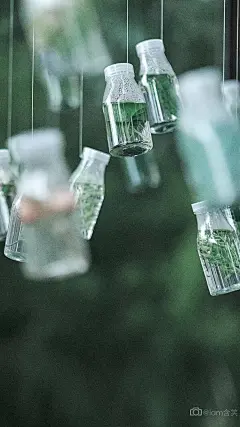 #壁纸#