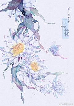 WVRSHCA3采集到水彩风