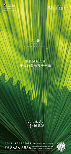 huabanpro采集到节日节气