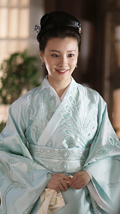 知否知否应是绿肥红瘦-盛华兰-王鹤润饰只有七秒记忆的鱼采集到【古装