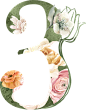水彩清新花卉植物LOGO图标婚礼海报装饰透明免抠PNG图案装饰素材 (34)