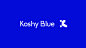 KoshyBlue Visual Identity 丨 By Zoey