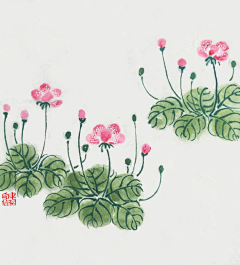 limi2022采集到植物 手绘 绘画 水彩 墨