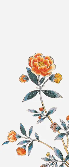 植物叶子鲜花装饰彩铅小清新插画花朵唯美冒险家的旅程高清素材 3植物鲜花 叶子 唯美冒险家的旅程 小清新 彩铅 插画 植物 花朵 装饰 鲜花 免抠png 设计图片 免费下载
