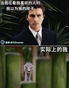 回复：有没有那种看着就特别让人绷不住的图？_吊图吧_百度贴吧-花瓣网