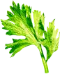 bg_front2.png (591×724)