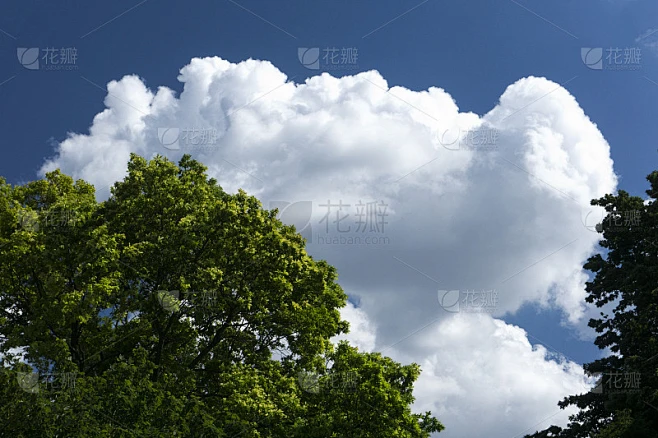 天空和云与树的背景素材-花瓣网