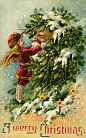 【圣诞特辑】复古圣诞卡片




今天是平安夜，小站也特地应景，找来一套国外复古贺卡，画面内容还是与植物脱不了干系啦~~ 祝大家节日愉快！



















































































好像国外特别钟爱这种红果子