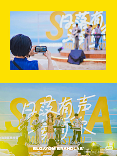 喵酱就是我采集到夏季