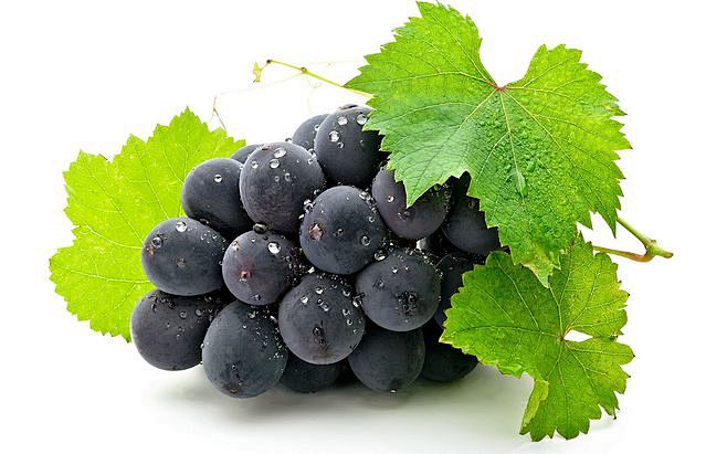 Best Grapes Fruit Wa...