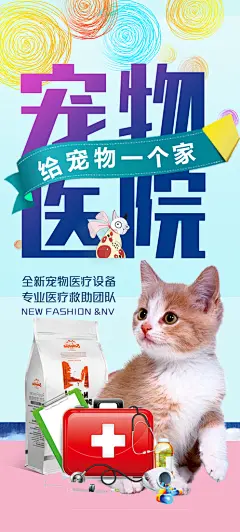 宠物店海报宣传招聘设计单页传单