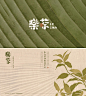 樂茶 | 品牌视觉设计 标志设计 字体设计