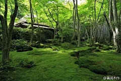 毛啊采集到风景