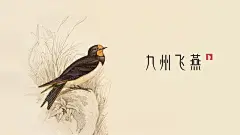 燕窝品牌设计 燕窝包装设计 燕窝礼盒包装设计-古田路9号-品牌创意/版权保护平台