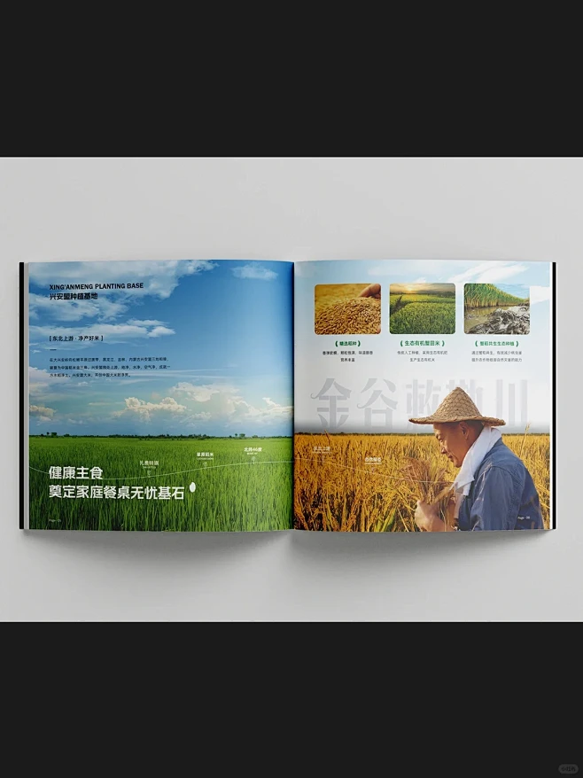 高级感拉满的产品画册设计、农产品画册 -...