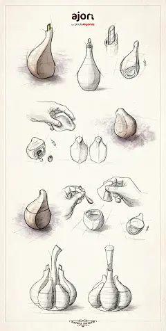 大蒜调味瓶