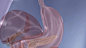 胃