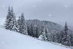 在寒冷多雾的冬天早晨，美丽的风景。高山和雪白色的山峰。神奇的森林。壁纸背景。地点:欧洲，乌克兰，喀尔