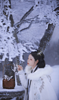 青若泉边竹，红欺雪域梅。 (5)