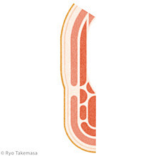 Ryo Takemasa | SIZEN...