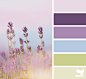 lavender hues