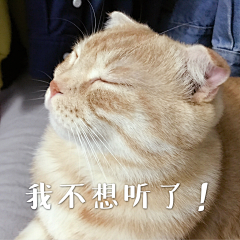 颖颖颖颖颖-采集到生活记录之我的大狗蛋喵喵喵