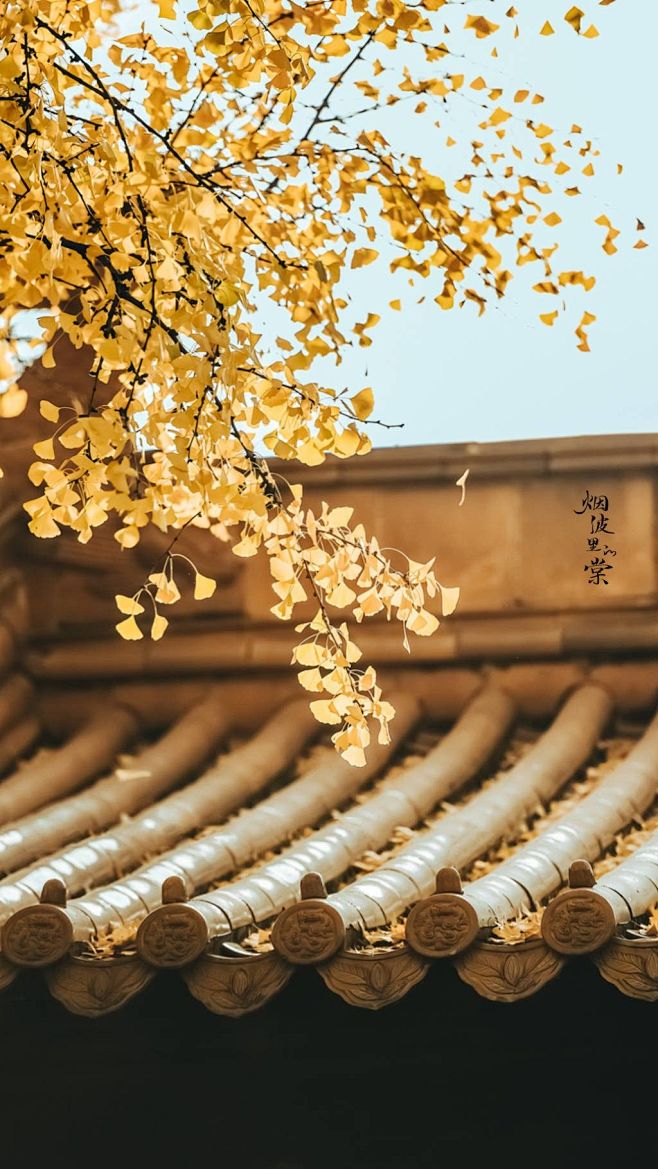 其中包括图片：