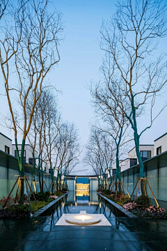 黄panpan采集到意向图