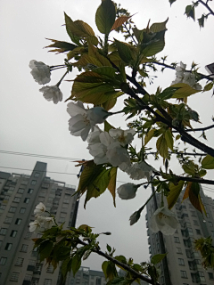初耳采集到风景