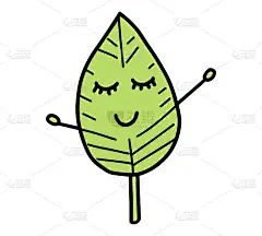 可爱的离开。卡通绿色的花园树叶，落叶和枯叶。涂鸦植物森林植物树木叶片。矢量孤立在白色背景。