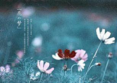 暮雨寒秋影采集到那些故事