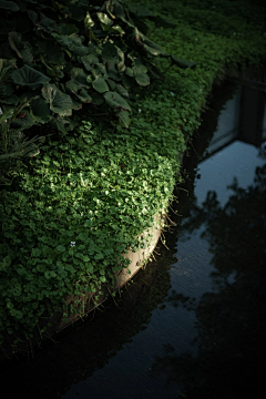 芊92采集到食·中式早餐